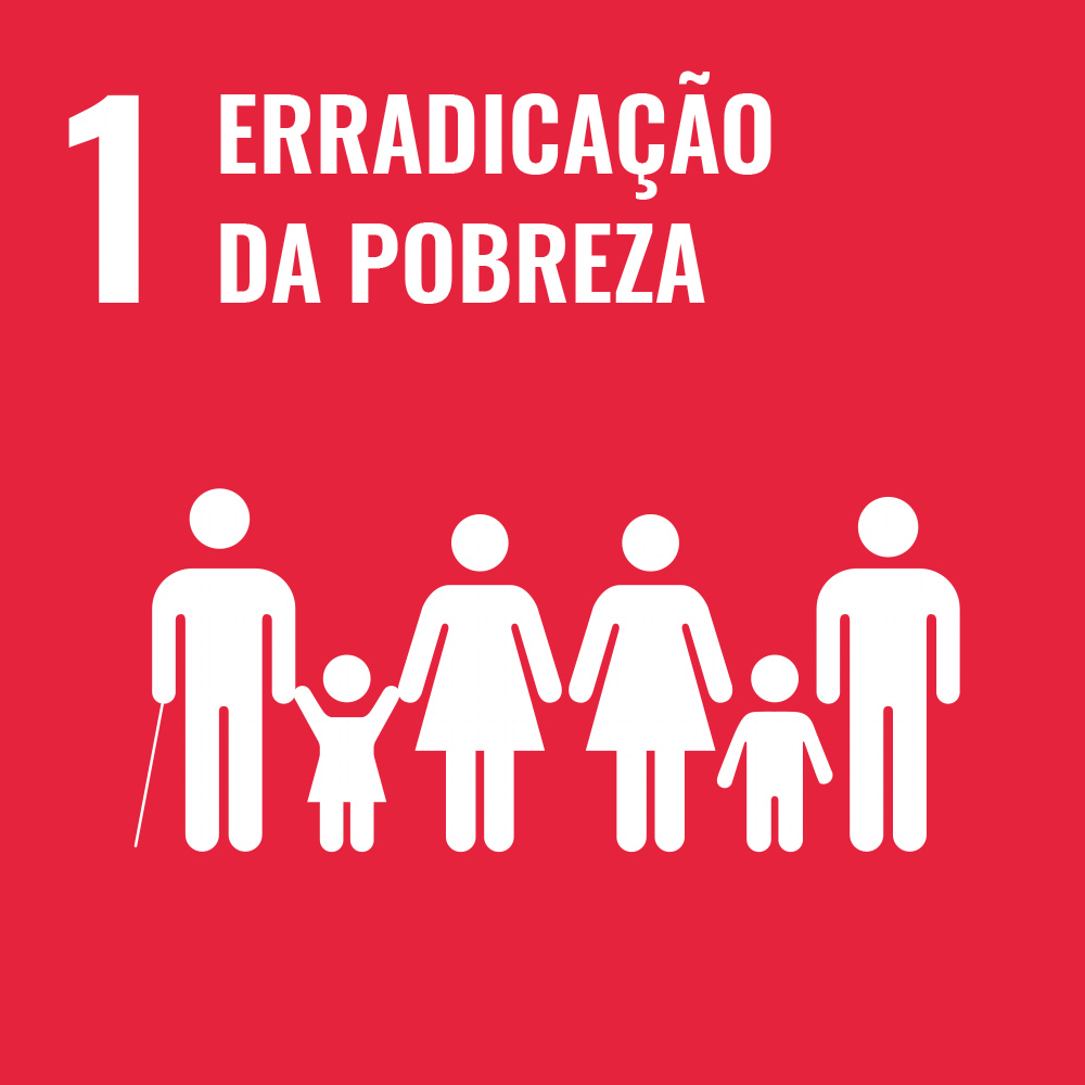 ODS1 Primeiro Objetivo de Desenvolvimento Sustentável, 17ODS